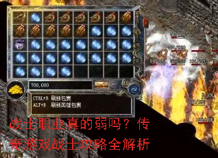 սʿְҵ������𣿴�����Ϸսʿ����ȫ����