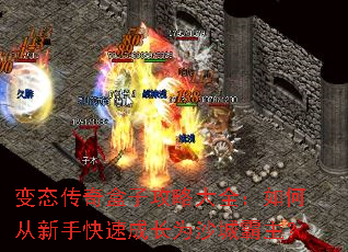 ��̬������ӹ��Դ�ȫ����δ����ֿ��ٳɳ�Ϊɳ�ǰ�����