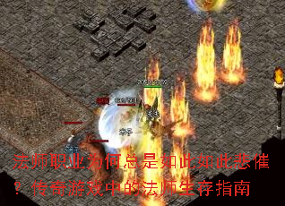 ��ʦְҵΪ�����������˱��ߣ�������Ϸ�еķ�ʦ����ָ��