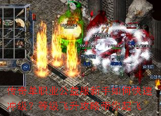 ���浥ְҵ�����������ο��ٳ弶���ȼ��������Դ������