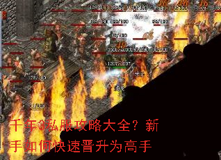 ǧ��3˽�����Դ�ȫ��������ο��ٽ���Ϊ����