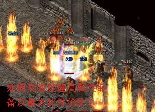 ��θ�Ч����������װ��������Լ۱ȣ�