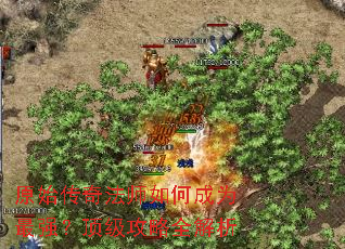 ԭʼ���淨ʦ��γ�Ϊ��ǿ����������ȫ����