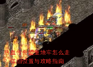 ��Ѫ�������ص�����ô�ߣ���ϸλ���빥��ָ��