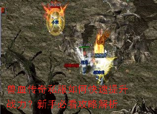 ��Ѫ����˽����ο�������ս�������ֱؿ����Խ���