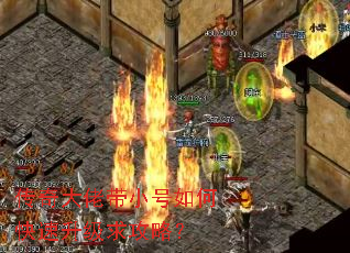 ������д�С����ο����������ԣ�