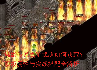 ��Ӱ��˵�߽������λ�ȡ������������ʵս����ȫ����