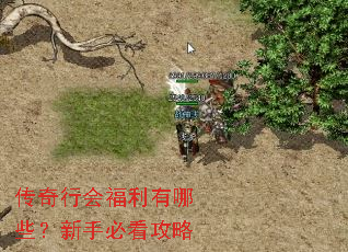 传奇行会福利有哪些?新手必看攻略 传奇行会福利有哪些?新手必看攻略