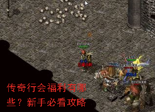 传奇行会福利有哪些?新手必看攻略 传奇行会福利有哪些?新手必看攻略