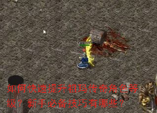 如何快速提升祖玛传奇角色等级?新手必备技巧有哪些? 如何快速提升祖玛传奇角色等级?新手必备技巧有哪些?
