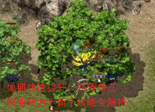 如何快速提升1.76传奇三职业战力?新手攻略全解析 如何快速提升1.76传奇三职业战力?新手攻略全解析