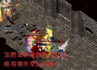 ���޵�ְҵ������Ϸ��������Щ�������⣿