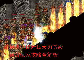 如何快速提升弑天刃等级?顶级玩家攻略全解析 如何快速提升弑天刃等级?顶级玩家攻略全解析
