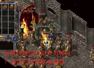 如何快速提升弑天刃等级?顶级玩家攻略全解析 如何快速提升弑天刃等级?顶级玩家攻略全解析