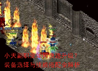 С�츱ְҵ��ο���������װ��ѡ���뼼�ܴ���ȫ����