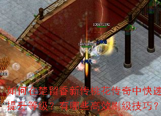 ����ڳ������´��һ������п��������ȼ�������Щ��Чˢ�����ɣ�