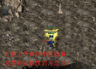 在复古传奇SF中挂机真的是升级最快的方法吗? 在复古传奇SF中挂机真的是升级最快的方法吗?
