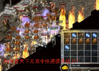 如何在天下无双中快速提升战力? 如何在天下无双中快速提升战力?