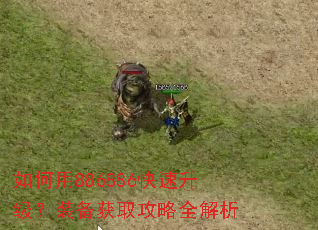 如何用886886快速升级?装备获取攻略全解析 如何用886886快速升级?装备获取攻略全解析