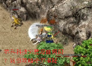 芯科科技究竟源自何国?这份攻略带你揭秘 芯科科技究竟源自何国?这份攻略带你揭秘