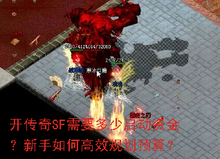 ������SF��Ҫ���������ʽ�������θ�Ч�滮Ԥ�㣿