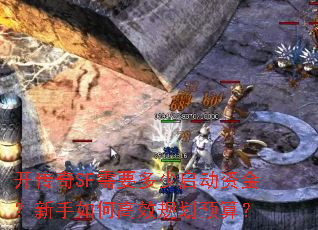 ������SF��Ҫ���������ʽ�������θ�Ч�滮Ԥ�㣿